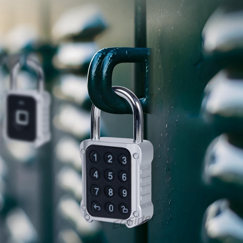Tuya Bluetooth APP Remote Elec - Lockbox Key Secure 리뷰 및 가격