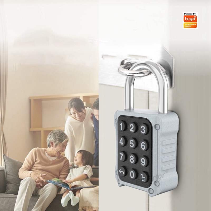 Tuya Bluetooth APP Remote Elec - Lockbox Key Secure 리뷰 및 가격